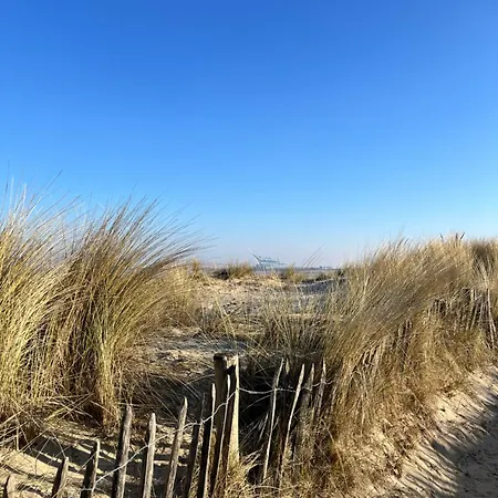 Dune Du Clemot * 布兰肯贝赫